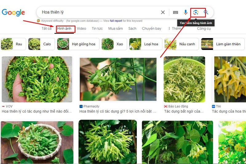 Google có riêng một tab để bạn tìm kiếm thông qua hình ảnh